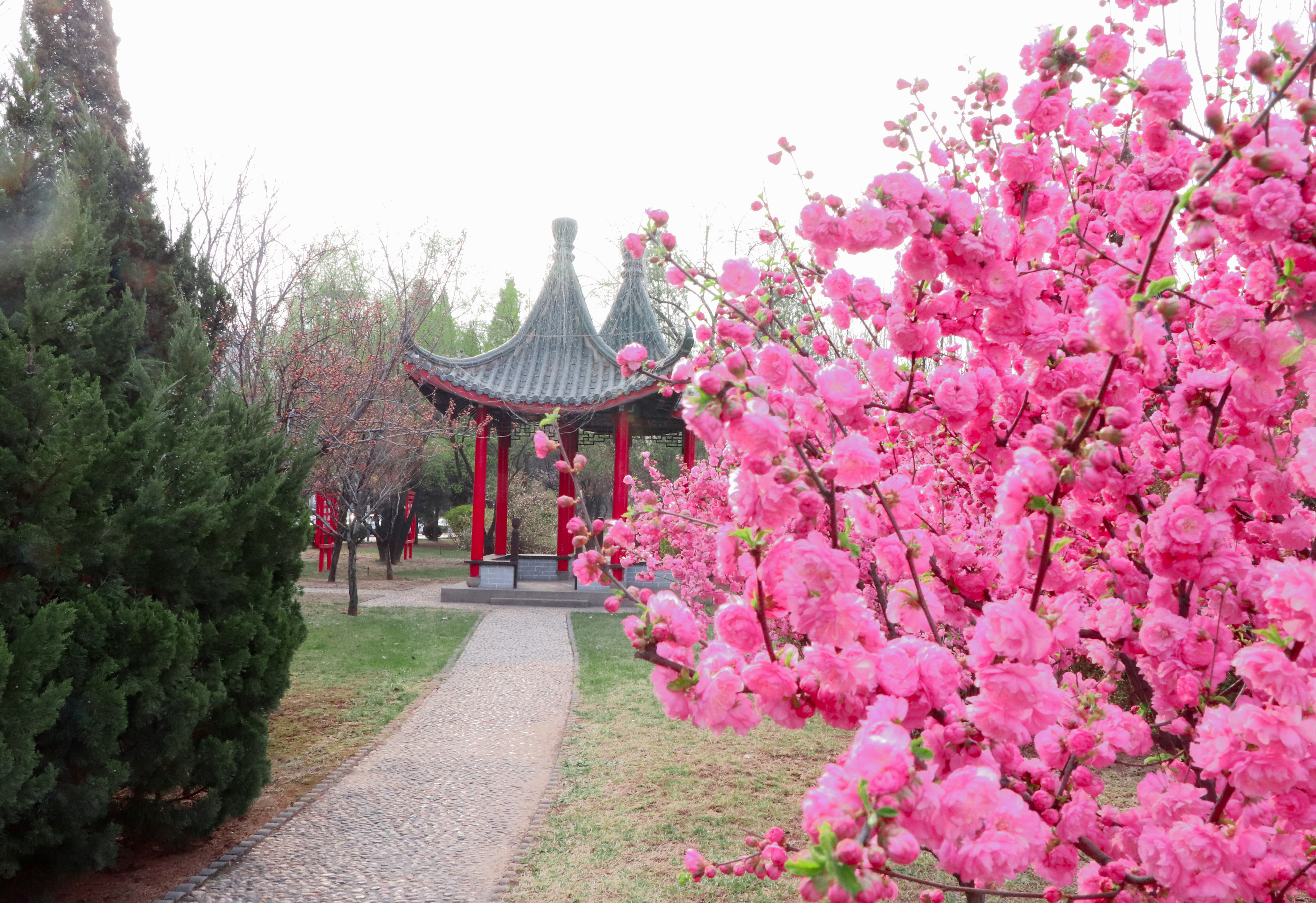 陽(yáng)泉五礦風(fēng)景圖